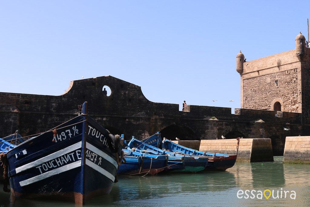 Photo port ville Essaouira