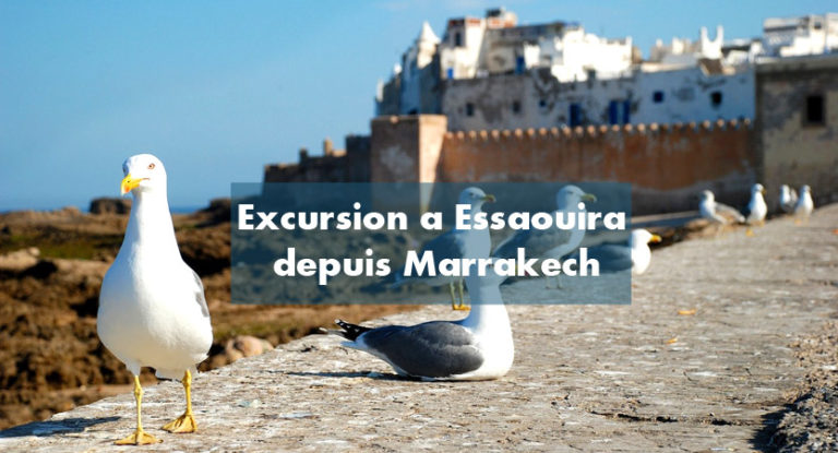 Excursion journée Essaouira depuis Marrakech