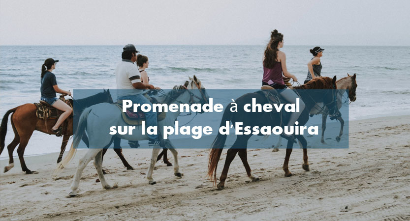 Promenade a cheval plage Essaouira