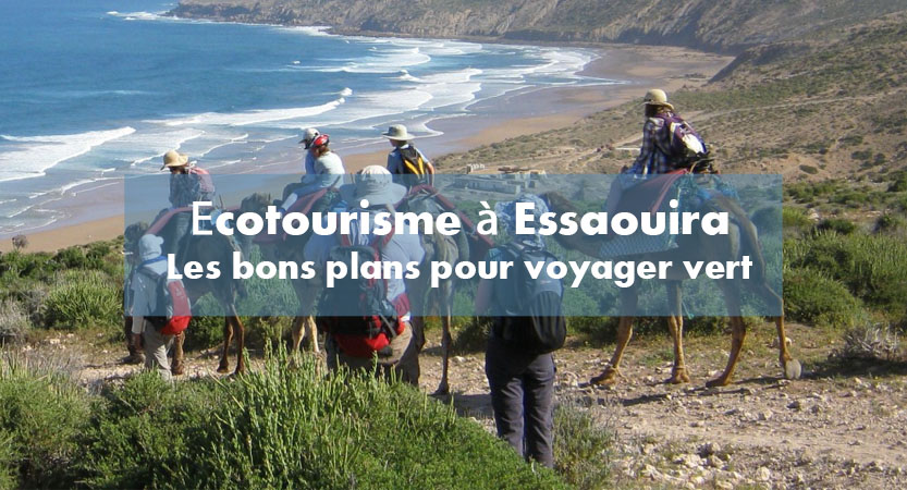 Voyage eco responsable Essaouira Maroc