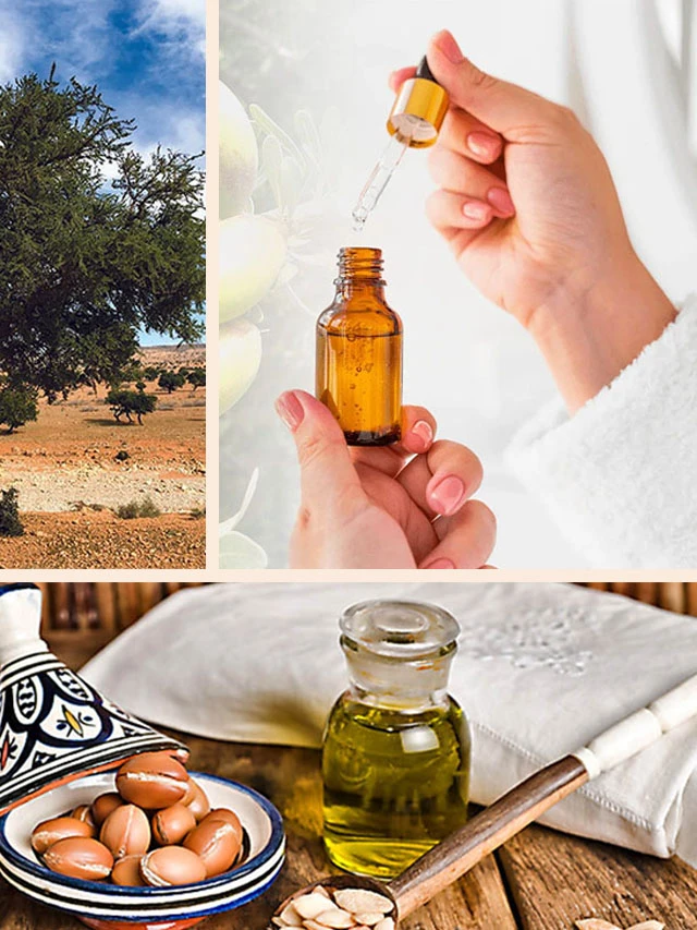 L’huile d’argan : Trésor marocain aux multiples bienfaits