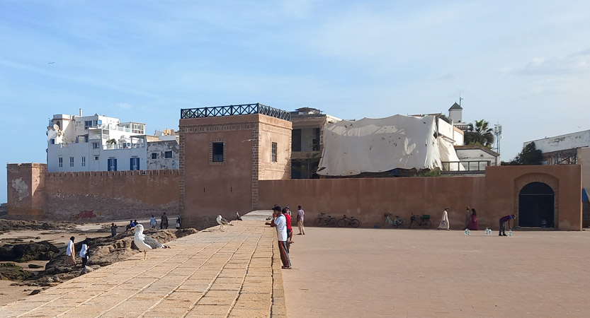 Essaouira an automne